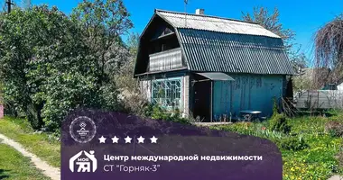 Haus in Starobinski sielski Saviet, Belarus