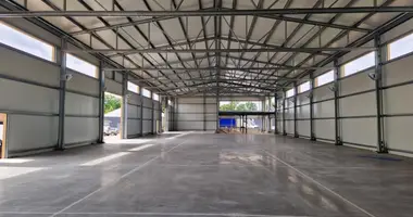 Propriété commerciale 1 280 m² dans Kaunas, Lituanie