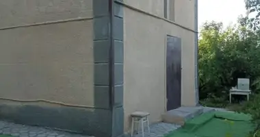 Dom 3 pokoi w Wełykodołynśke, Ukraina