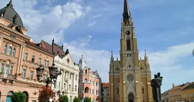 Wohnung 1 Schlafzimmer in Stadt Neusatz, Serbien