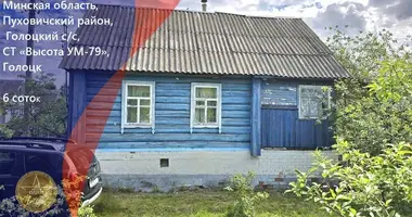 Haus in Holacki sielski Saviet, Belarus