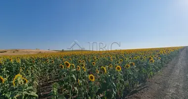 Mieszkanie 1 pokój w Tankovo, Bułgaria