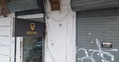 Propriété commerciale 100 m² dans Tbilissi, Géorgie