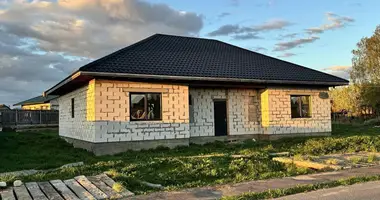Cottage in Orsha, Belarus