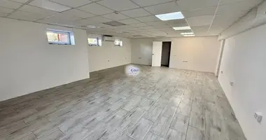 Commercial property 66 m² in Holmogorovka, Russia