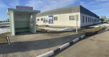 Geschäft 790 m² in Niahnievicy, Belarus