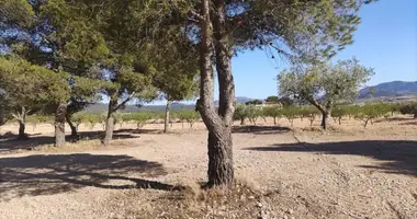 Apartment in el Pinos Pinoso, Spain