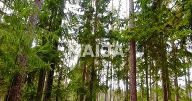 Grundstück in Adiamünde, Lettland