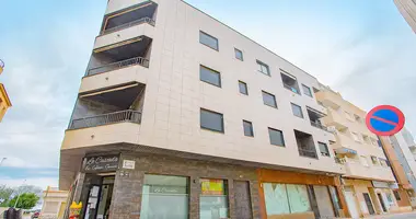 2 bedroom apartment in La Mata, Spain