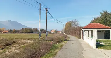 Участок земли в Община Даниловград, Черногория