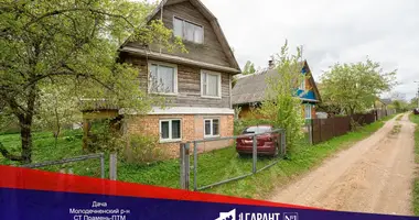 Дом в Радошковичский сельский Совет, Беларусь