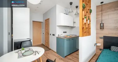 Appartement 1 chambre dans Vilnius, Lituanie