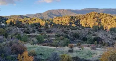 Apartment in Pera Pedi, Cyprus