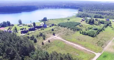 Terrain dans Vileikiai, Lituanie