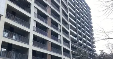 1 Bedroom Apartment for Rent in Tbilisi w Tbilisi, Gruzja