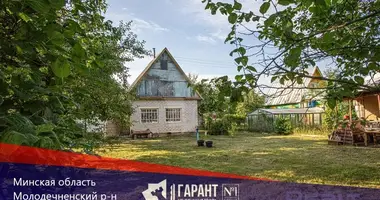 House in Krasnienski sielski Saviet, Belarus