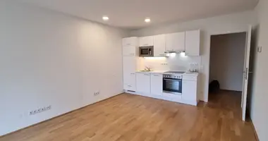 2 room apartment in Vienna, Austria