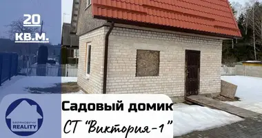 Дом в Леснянский сельский Совет, Беларусь