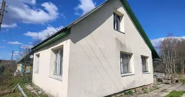 House in Januskavicki sielski Saviet, Belarus