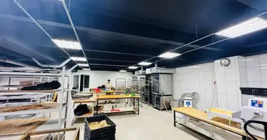 Office 333 m² in Moscow, Russia