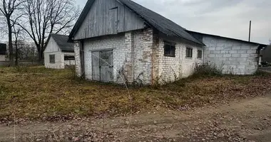 Manufacture 59 m² in Astromicki sielski Saviet, Belarus