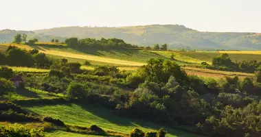 3 bedroom house in City of Novi Sad, Serbia