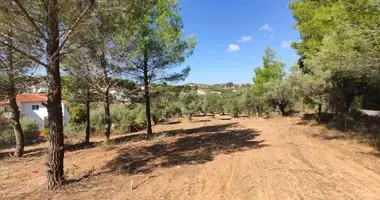Terrain dans Metamorfosi, Grèce