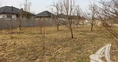 Участок земли в Тельминский сельский Совет, Беларусь