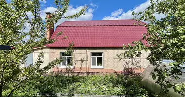 Haus in Baryssau, Belarus