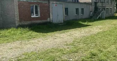 Manufacture 805 m² in Dubrounia, Belarus