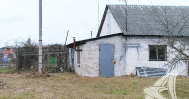 Terrain dans Muchaviecki sielski Saviet, Bélarus