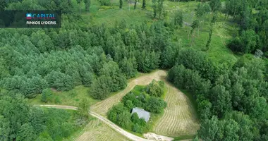 Działka w Windziule, Litwa