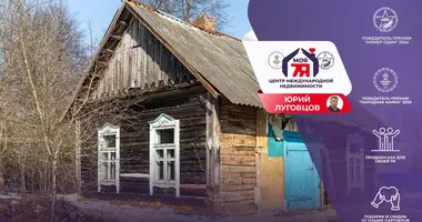 House in Kurhanski sielski Saviet, Belarus