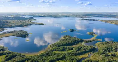 Terrain dans Miazanski sielski Saviet, Bélarus