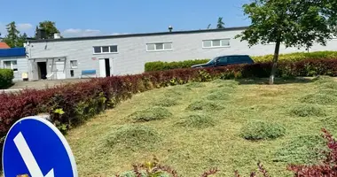 Shop 1 000 m² in Kostrzyn, Poland