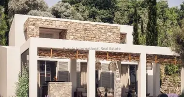 Villa 3 chambres dans Polis Chrysochous, Chypre