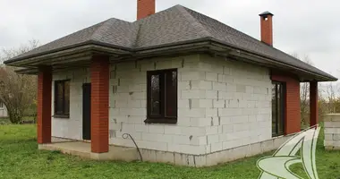 Haus in Cerninski sielski Saviet, Belarus