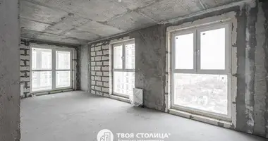 3 bedroom apartment in Minsk, Belarus
