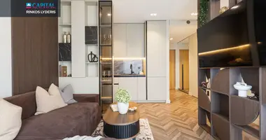 2 room apartment in Vilnius, Lithuania