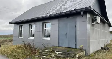 Коммерческое помещение 109 м² в Ляденский сельский Совет, Беларусь
