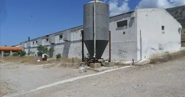 Parcela en Municipality of Megara, Grecia