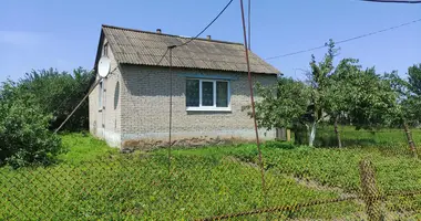 House in Novyja Rackavicy, Belarus
