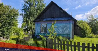Дом в Гостиловичи, Беларусь