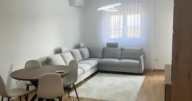 Apartamento 1 habitación en Zmaj Jovina, Montenegro