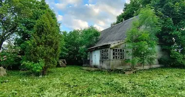 Haus in Sieleucy, Belarus