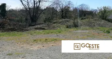 Działka w Opcina Dezanovac, Chorwacja