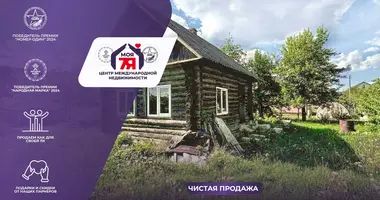 Haus in Starobinski sielski Saviet, Belarus