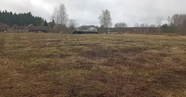 Plot of land in Zabalocki sielski Saviet, Belarus