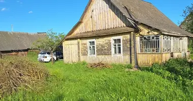 House in Naracki sielski Saviet, Belarus