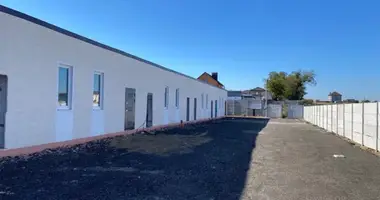 Wohnung 2 zimmer in Lymanka, Ukraine